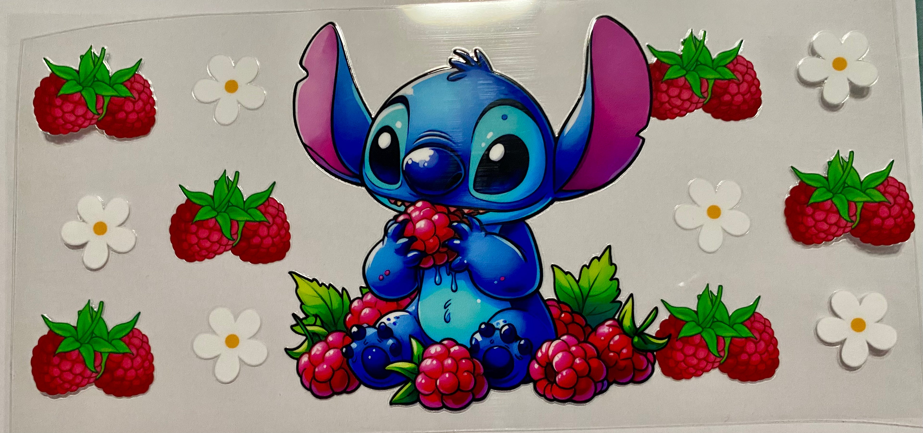 RaspberryStitch