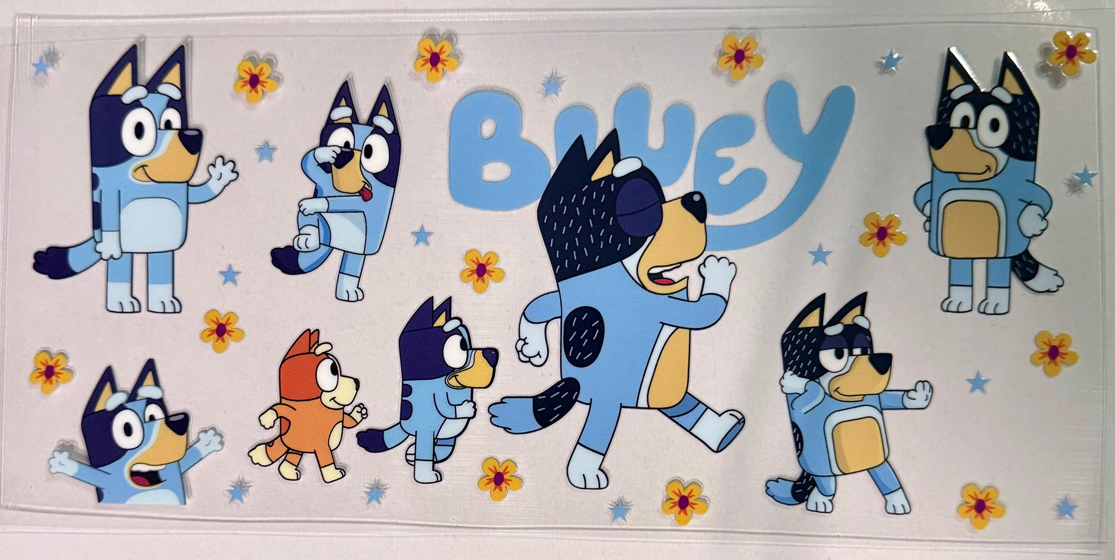Bluey7