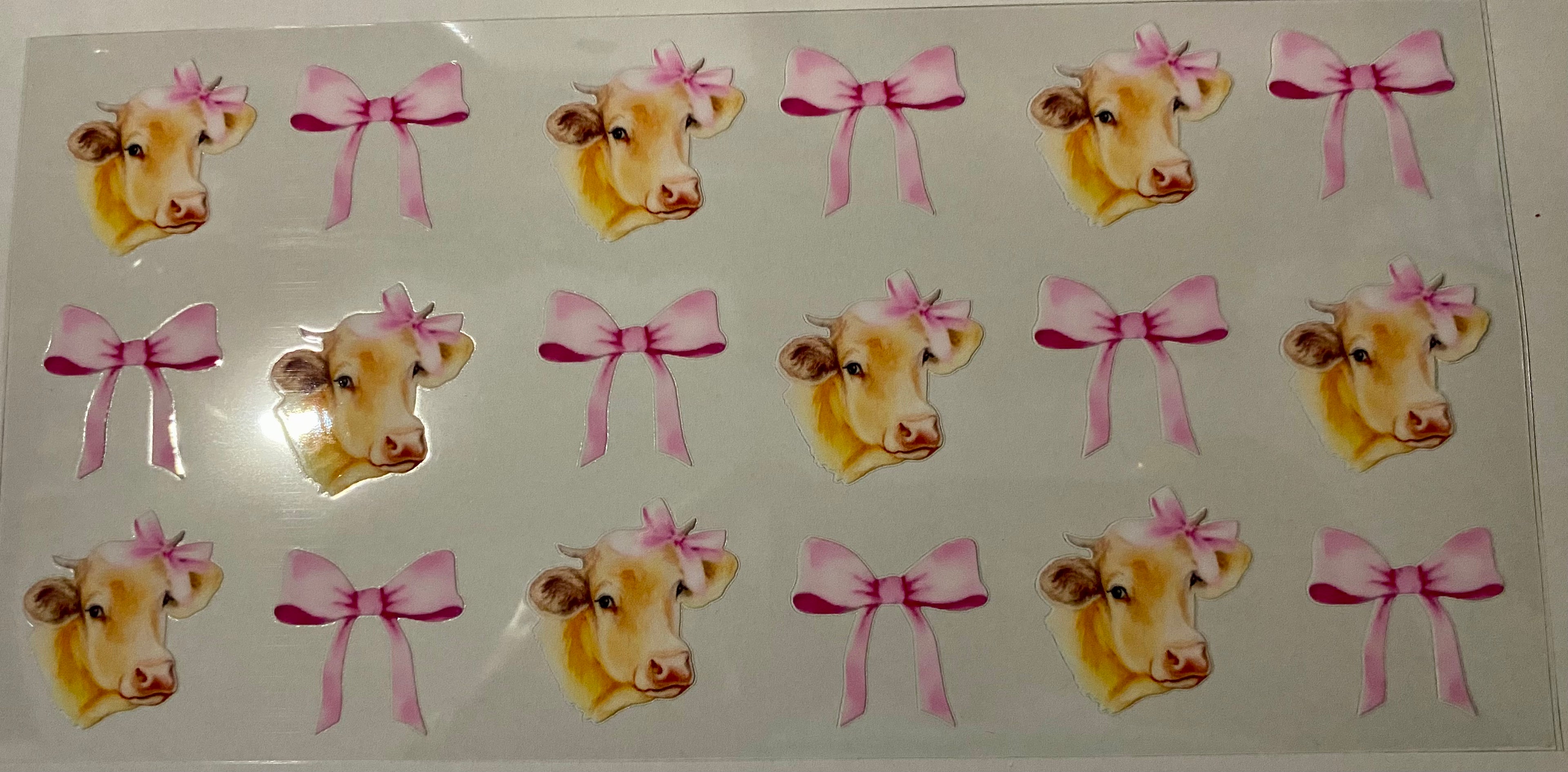 Cows & Bows