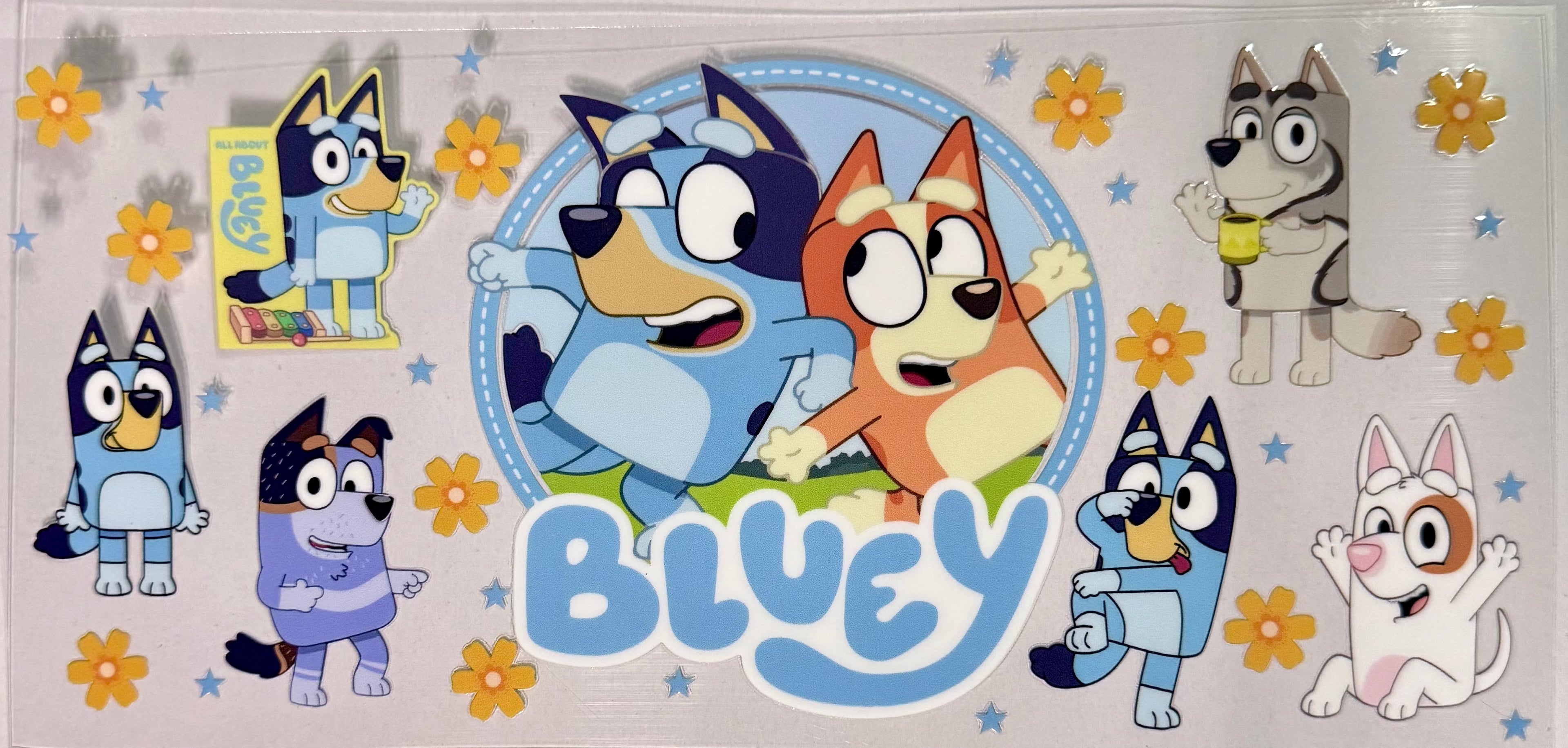 Bluey19