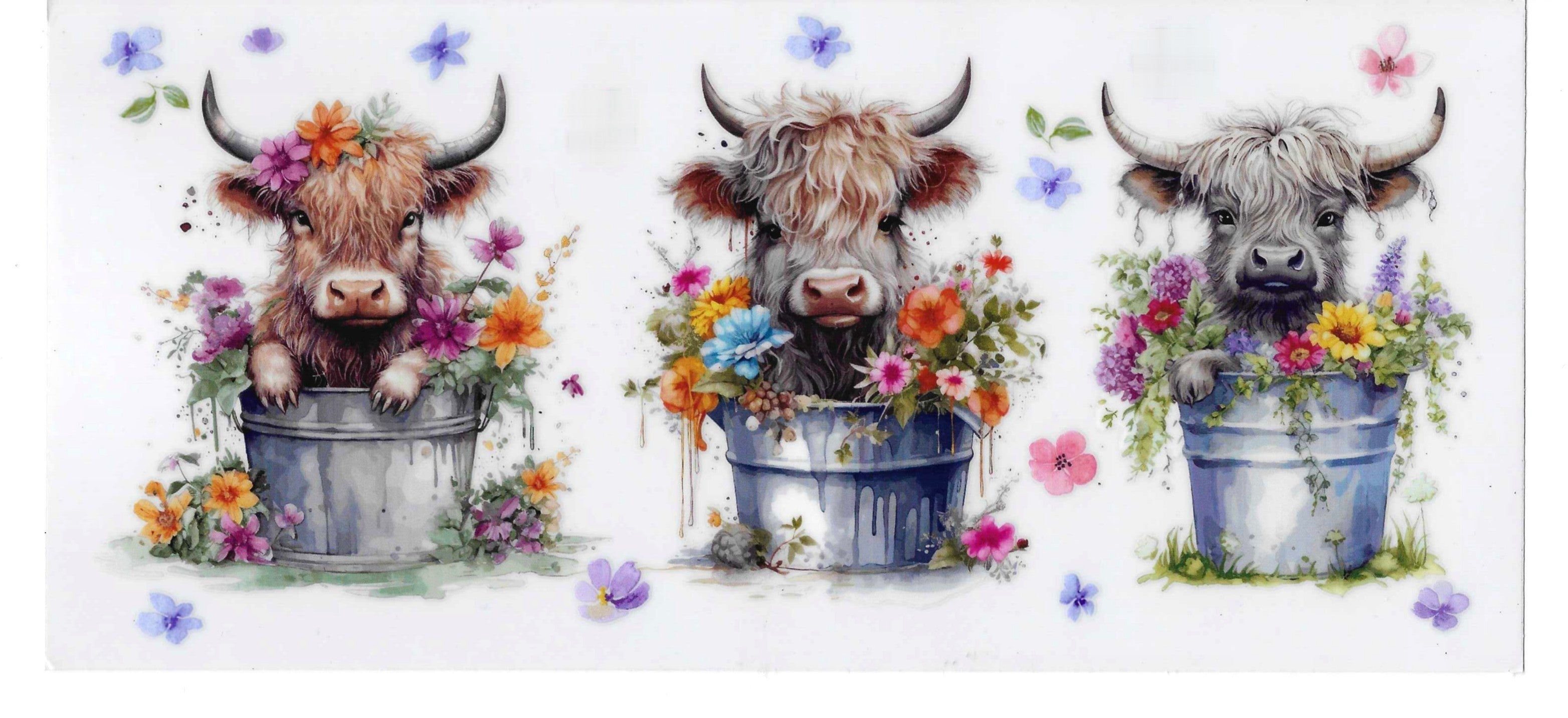 Cow Pots