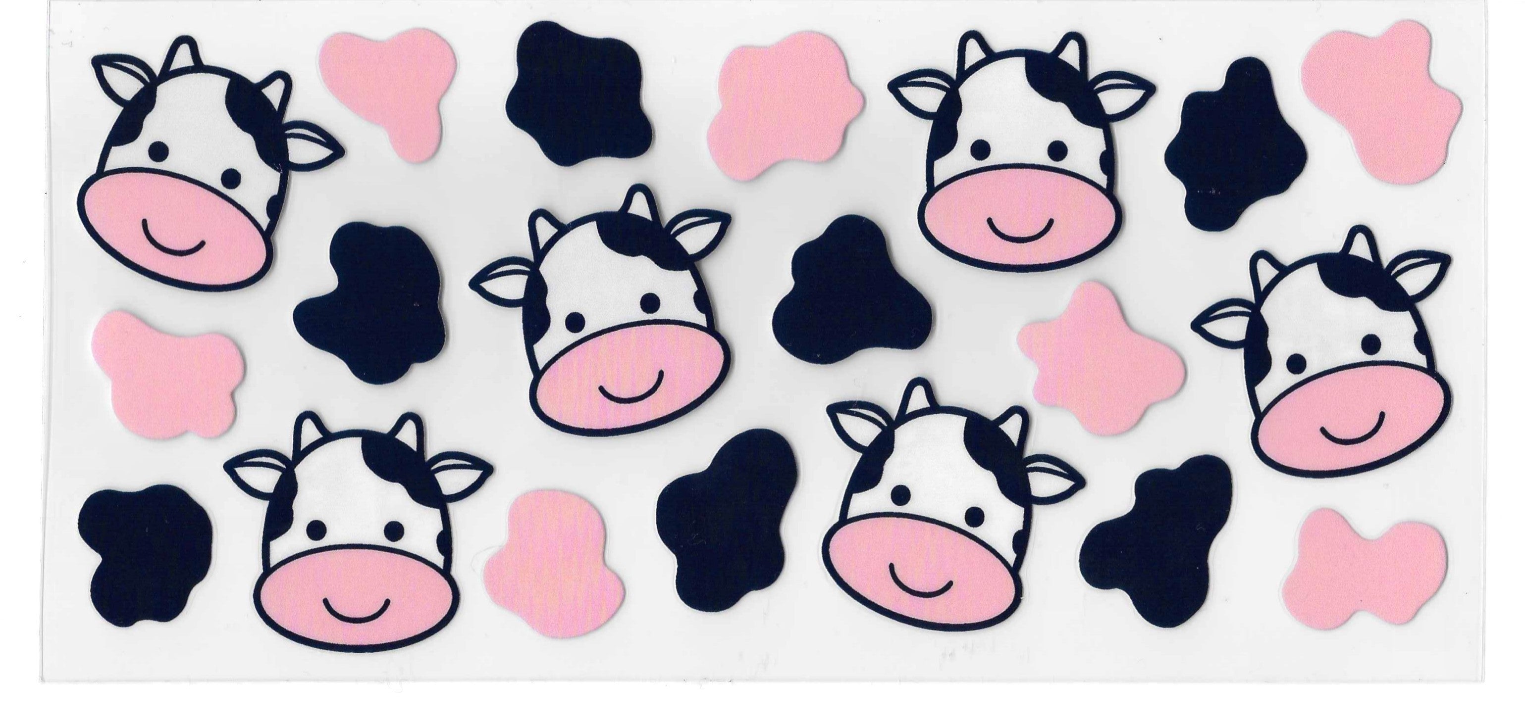 Cute Cows