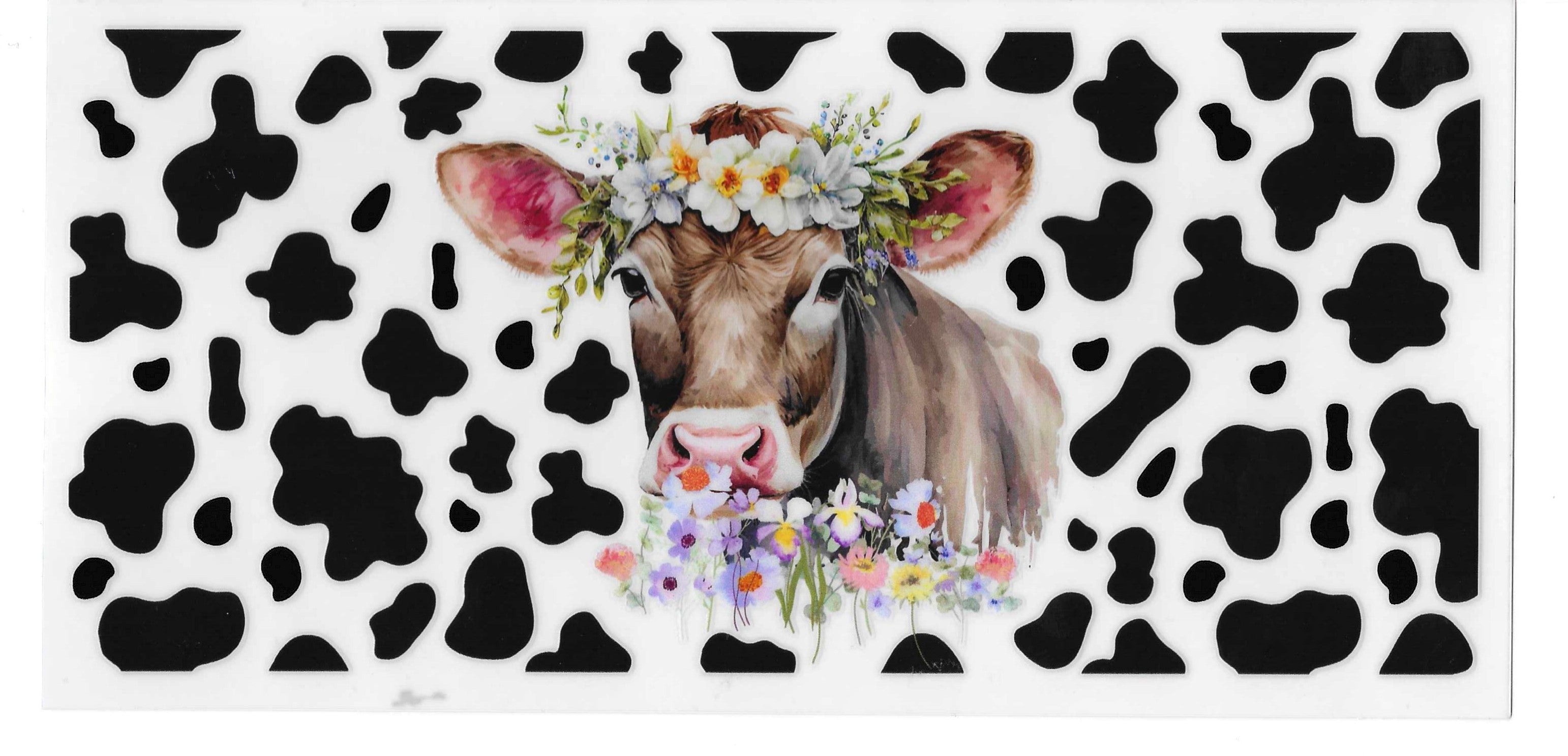 Gray Cow