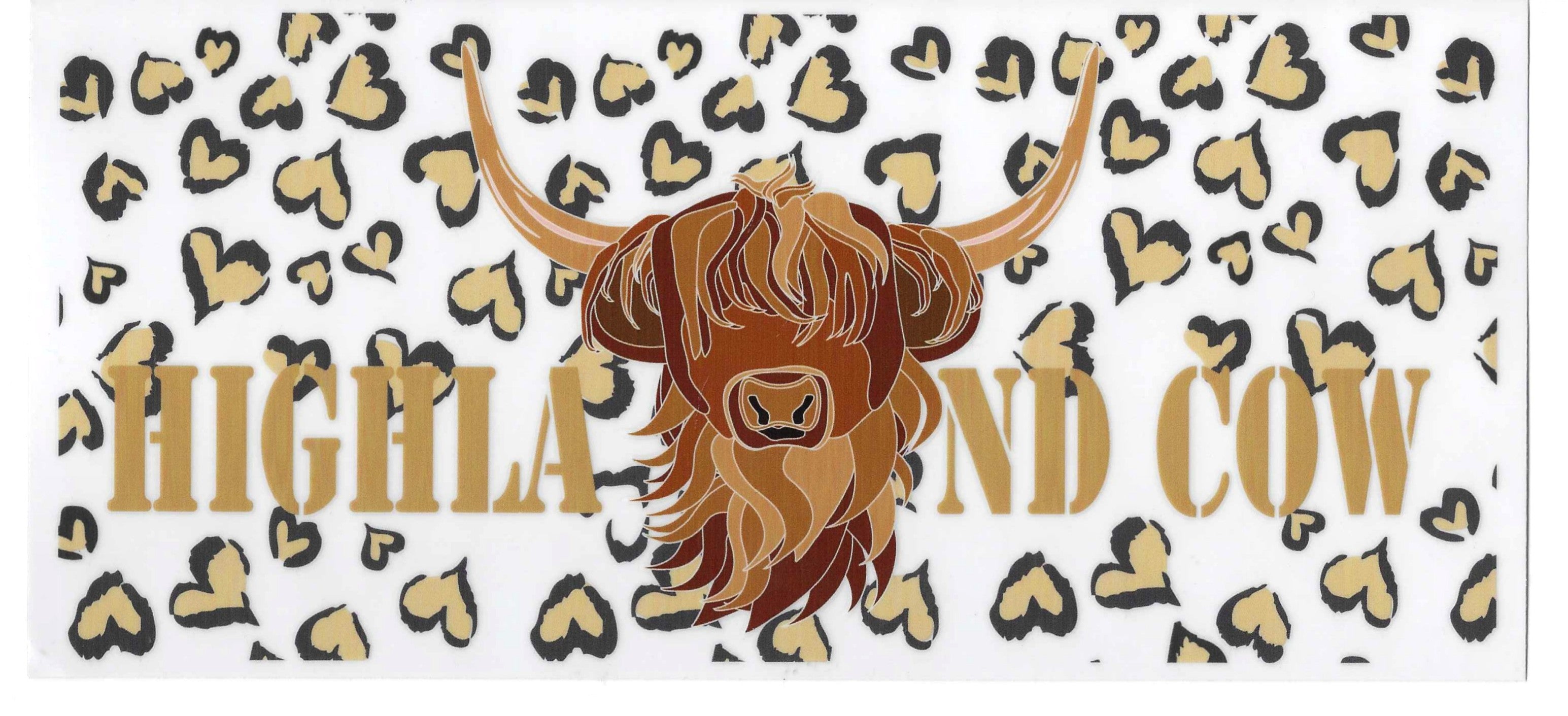 Highland Cow