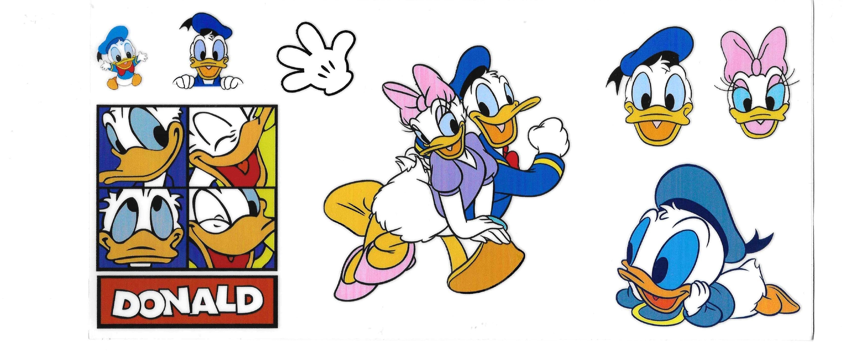 D Duck