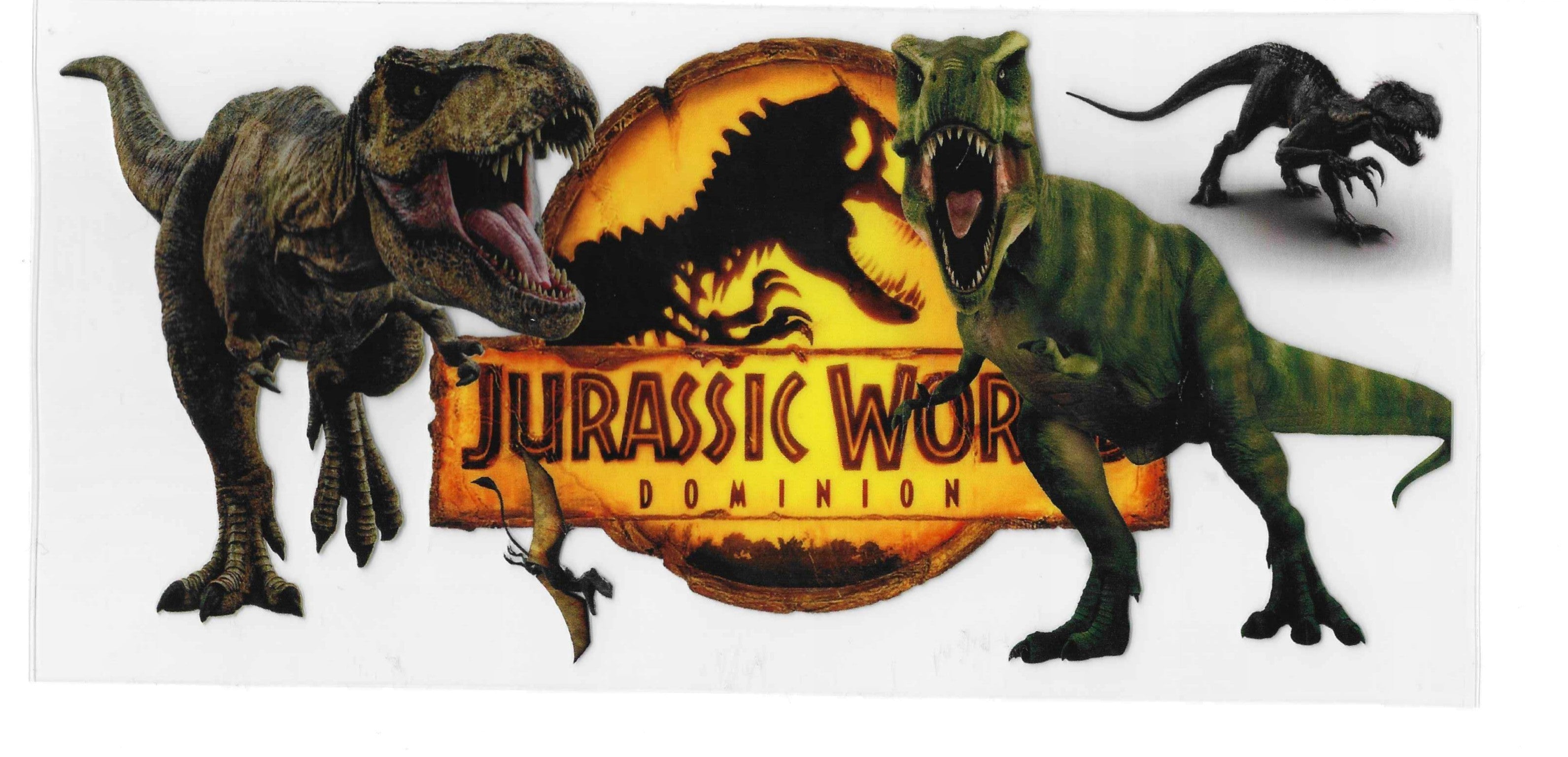 JP4